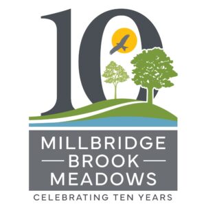 Millbridge Brook Meadows