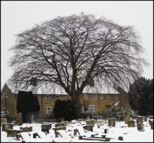 memorials in the snow