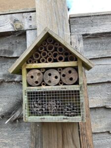 a bug hotel
