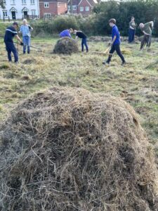 Some people raking behind a huge mound of hay.